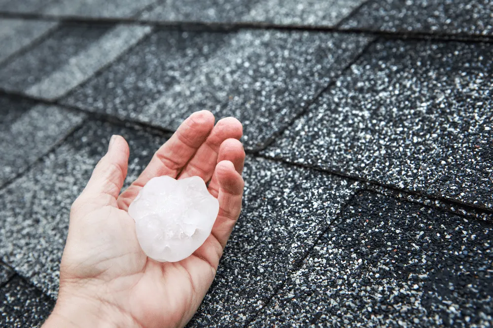 Large hailstone held in a hand over a damaged shingle roof